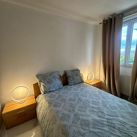 Апартаменты Tres Beau Trois Pieces Avec Vue Degagee Страсбург Экстерьер фото