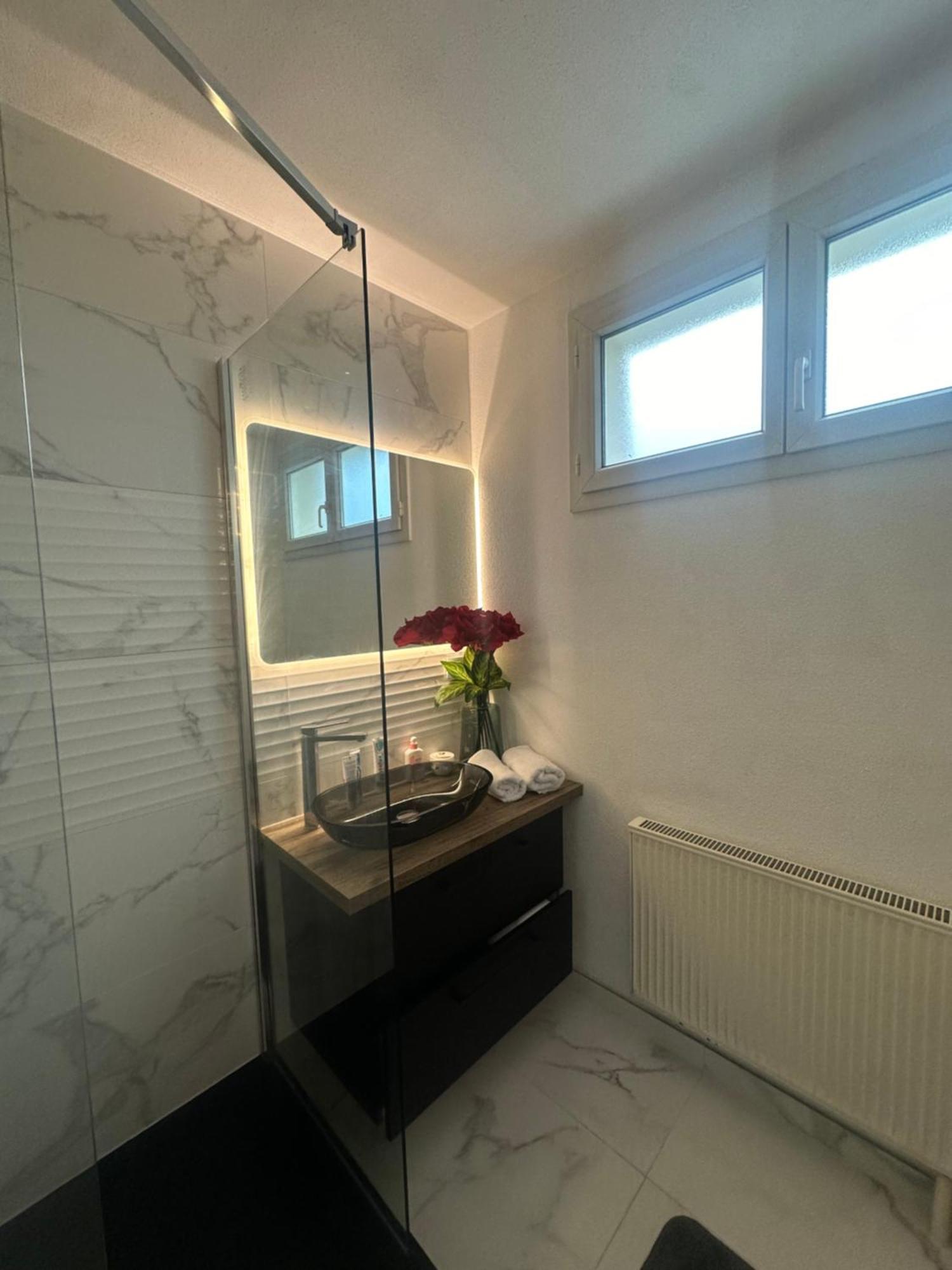 Апартаменты Tres Beau Trois Pieces Avec Vue Degagee Страсбург Экстерьер фото